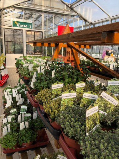 Frühlingssortiment bei Gartenbau Seever