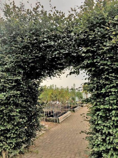 Herbssortiment der Gärtnerei Seever