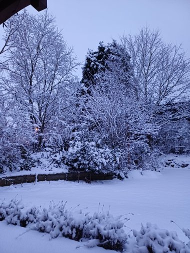 Winterimpressionen aus der Gärtnerei Seever