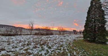 Winterimpressionen aus der Gärtnerei Seever