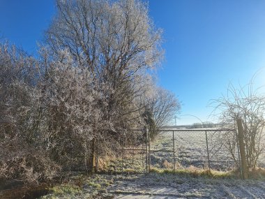 Winterimpressionen aus der Gärtnerei Seever