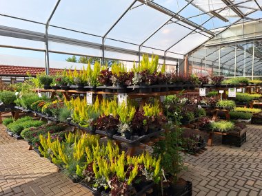 Herbstsortiment der Gärtnerei Seever