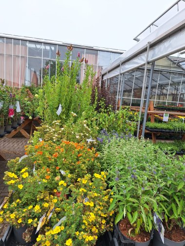 Herbstsortiment der Gärtnerei Seever