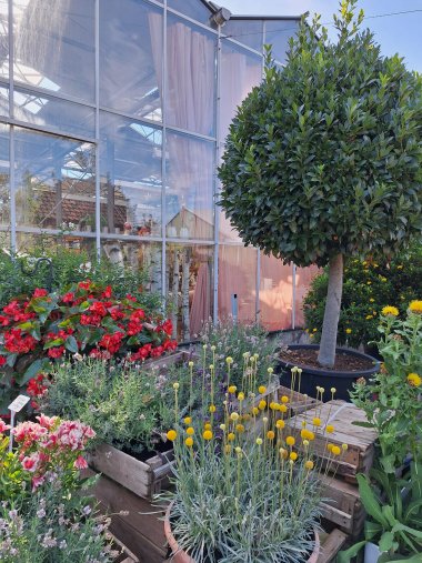 Herbstsortiment der Gärtnerei Seever