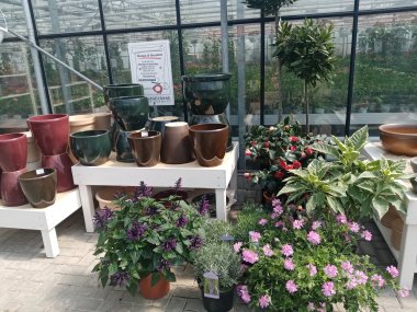 Sommersortiment der Gärtnerei Seever