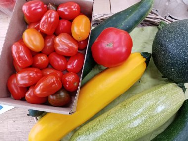 Sommersortiment der Gärtnerei Seever